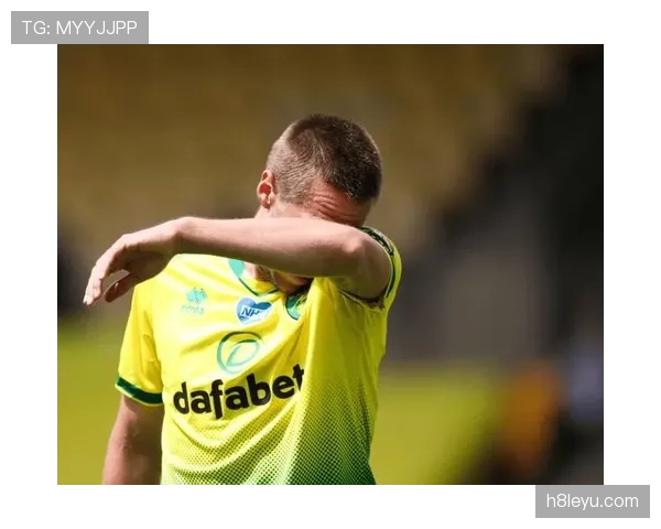 诺维奇黄绿鸟新赛季蓄势待发，剑指英冠强势回归