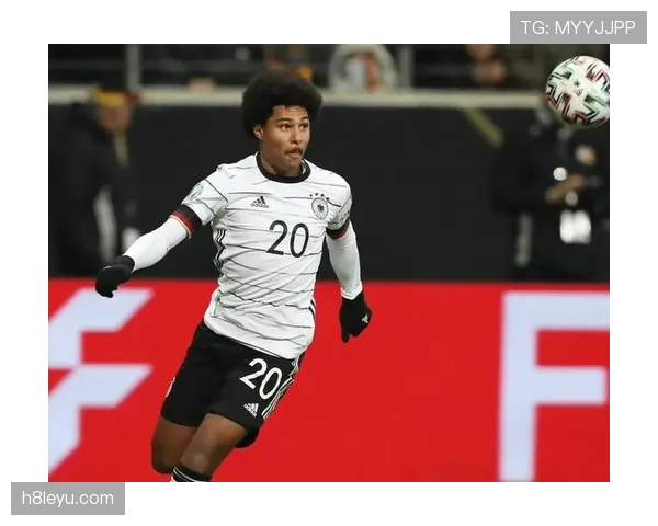 格纳布里在德国队作用