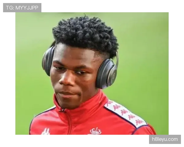 楚阿梅尼比赛阅读能力